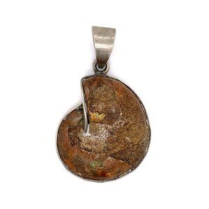 Estate Brown and Gold Fossil or Stone Pendant Necklace